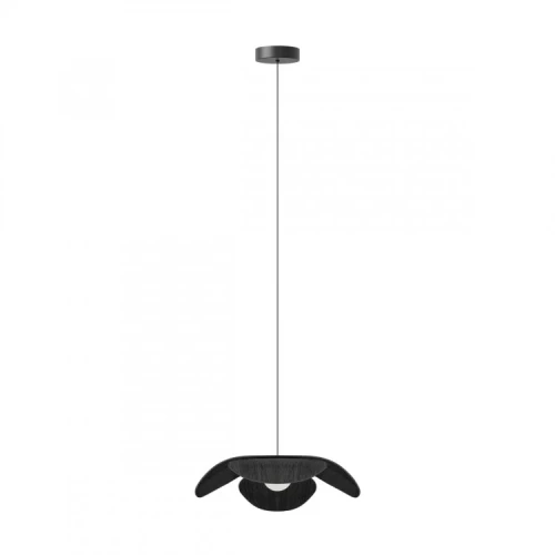 forget-me-not-black-oak-medium-umage-lampa-wiszaca (1).webp