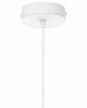undef_src_sa_picid_958120_x_1800_type_whitesh_image.jpg