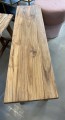 687833824_976406218520657_5528588545256210645_n.jpg